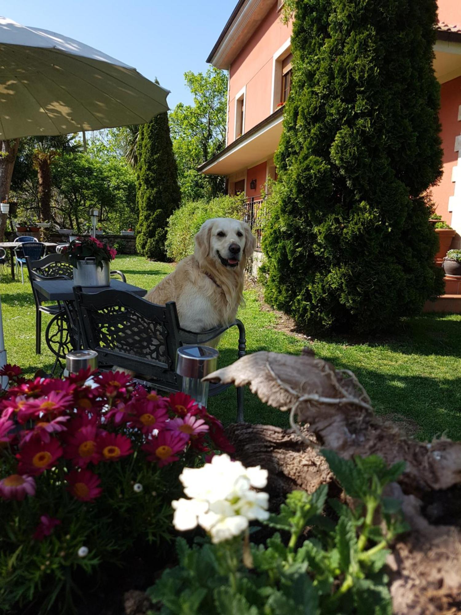 Hotel Rural El Torrejon อาเรนัส เด กาบราเลส ภายนอก รูปภาพ